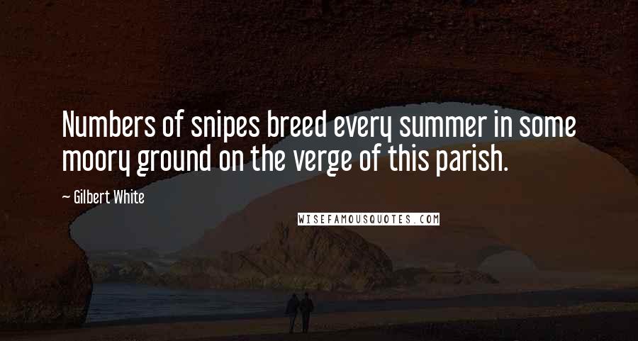 Gilbert White Quotes: Numbers of snipes breed every summer in some moory ground on the verge of this parish.