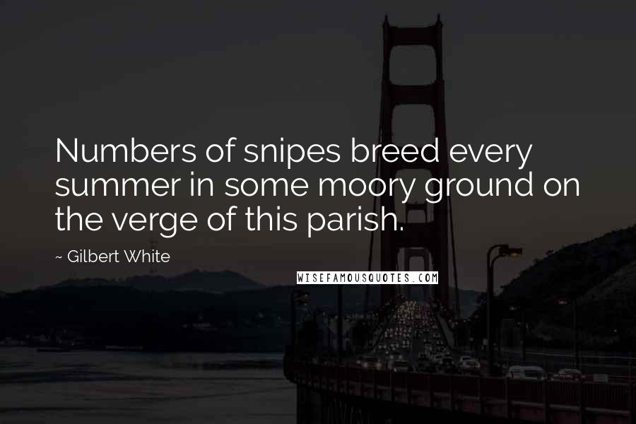 Gilbert White Quotes: Numbers of snipes breed every summer in some moory ground on the verge of this parish.