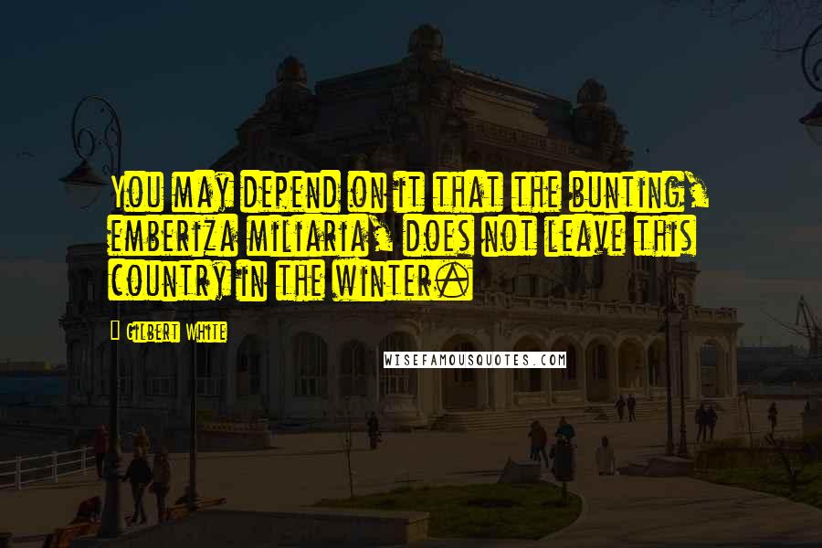 Gilbert White Quotes: You may depend on it that the bunting, emberiza miliaria, does not leave this country in the winter.