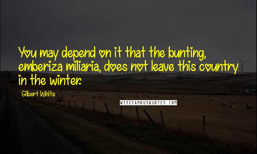 Gilbert White Quotes: You may depend on it that the bunting, emberiza miliaria, does not leave this country in the winter.