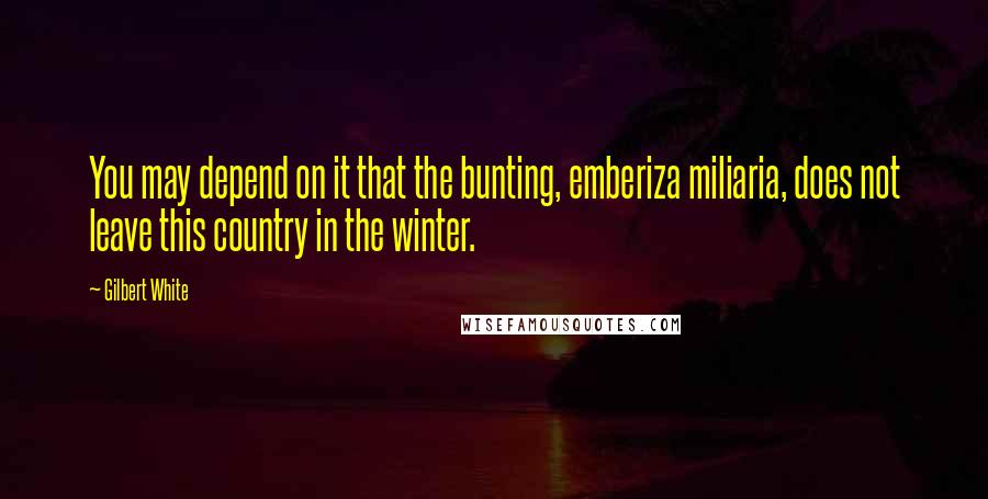 Gilbert White Quotes: You may depend on it that the bunting, emberiza miliaria, does not leave this country in the winter.