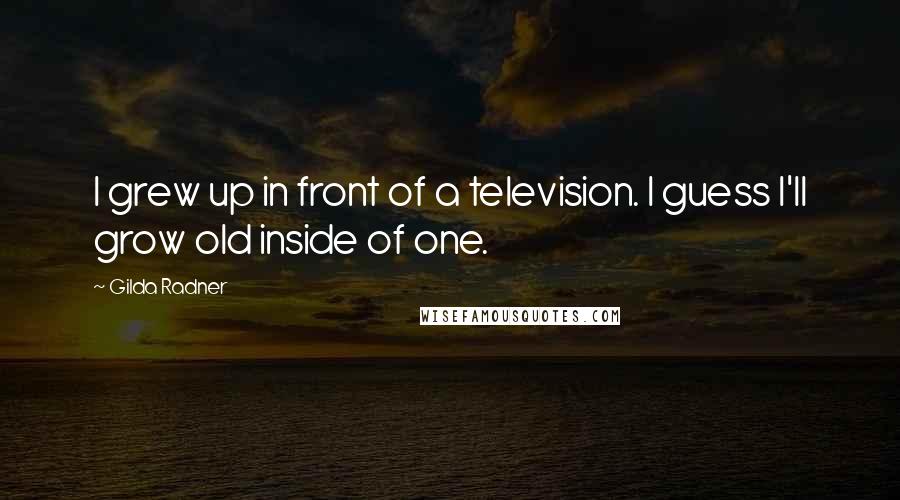 Gilda Radner Quotes: I grew up in front of a television. I guess I'll grow old inside of one.