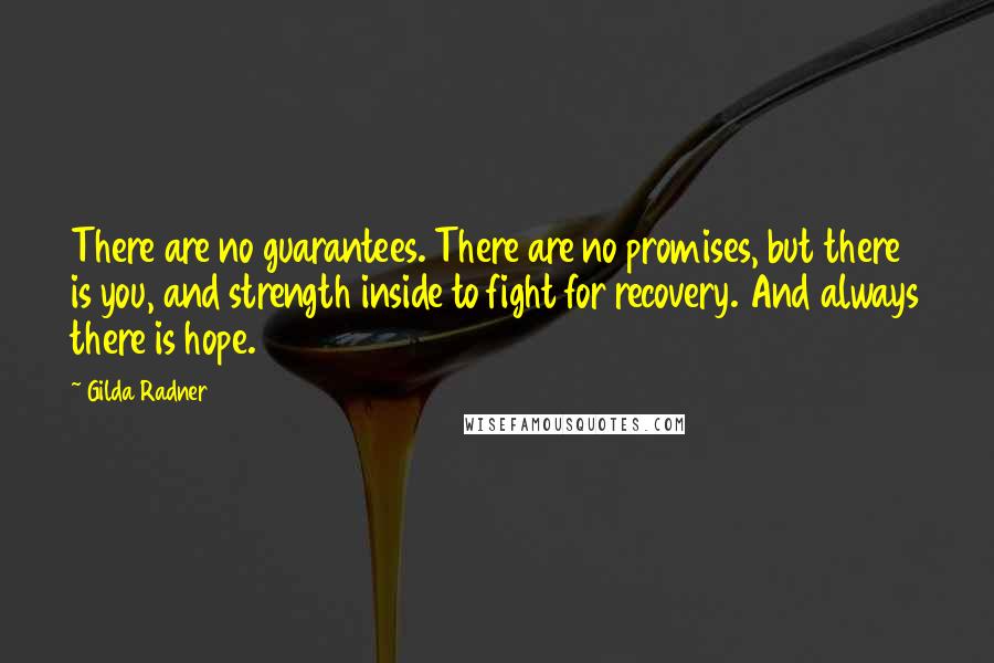 Gilda Radner Quotes: There are no guarantees. There are no promises, but there is you, and strength inside to fight for recovery. And always there is hope.
