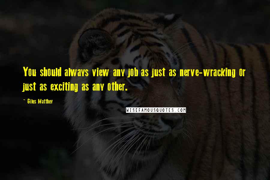 Giles Matthey Quotes: You should always view any job as just as nerve-wracking or just as exciting as any other.