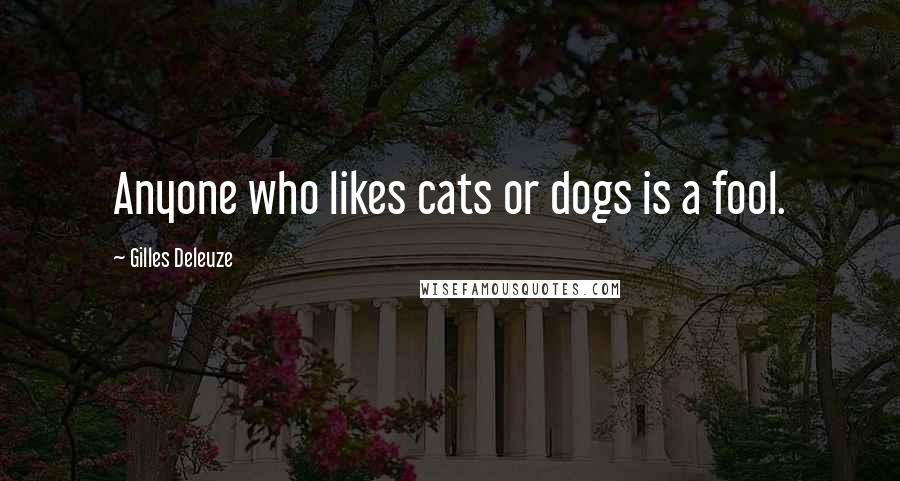 Gilles Deleuze Quotes: Anyone who likes cats or dogs is a fool.