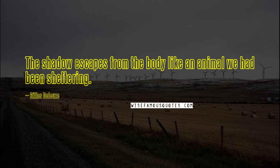 Gilles Deleuze Quotes: The shadow escapes from the body like an animal we had been sheltering.