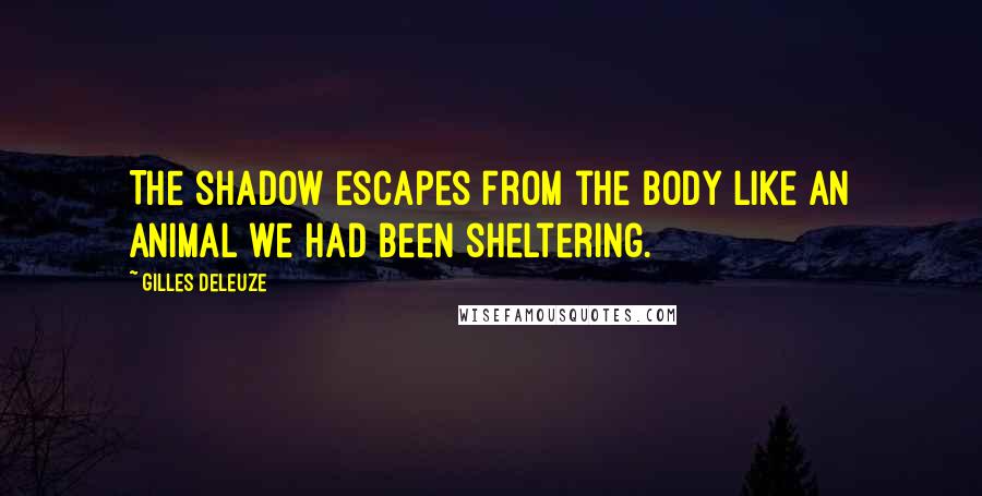 Gilles Deleuze Quotes: The shadow escapes from the body like an animal we had been sheltering.