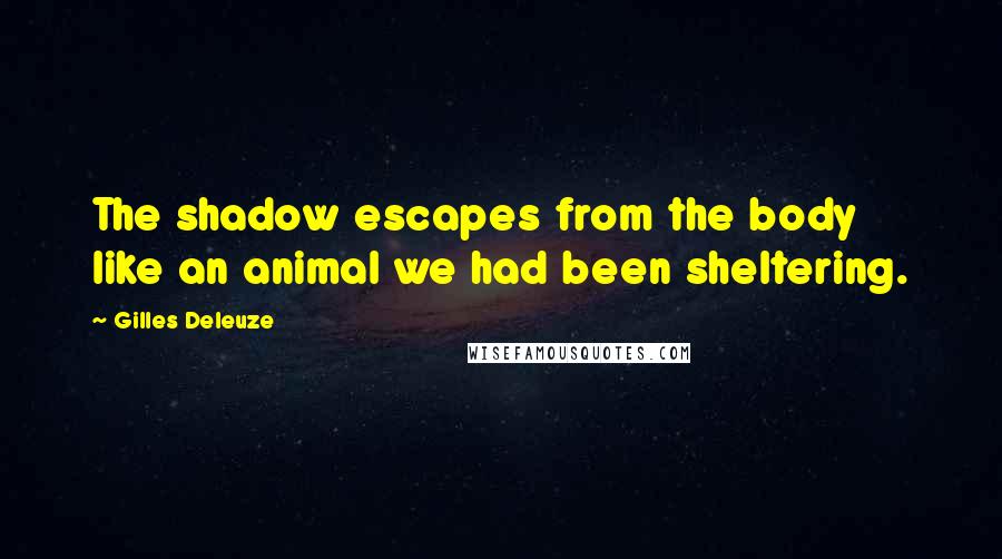 Gilles Deleuze Quotes: The shadow escapes from the body like an animal we had been sheltering.