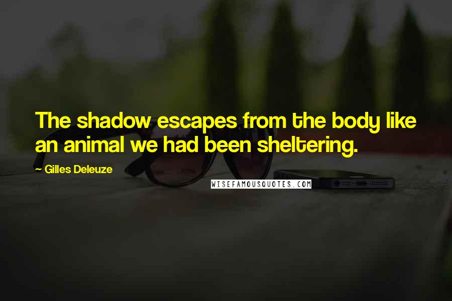 Gilles Deleuze Quotes: The shadow escapes from the body like an animal we had been sheltering.