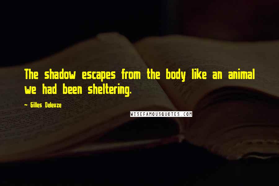 Gilles Deleuze Quotes: The shadow escapes from the body like an animal we had been sheltering.