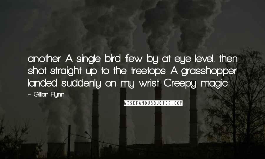 Gillian Flynn Quotes: another. A single bird flew by at eye level, then shot straight up to the treetops. A grasshopper landed suddenly on my wrist. Creepy magic.