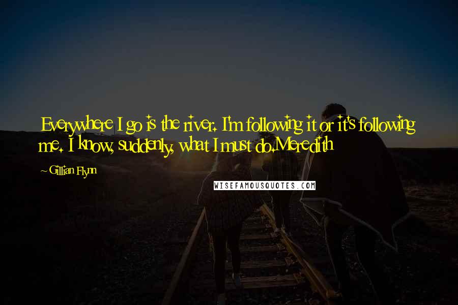 Gillian Flynn Quotes: Everywhere I go is the river. I'm following it or it's following me. I know, suddenly, what I must do.Meredith