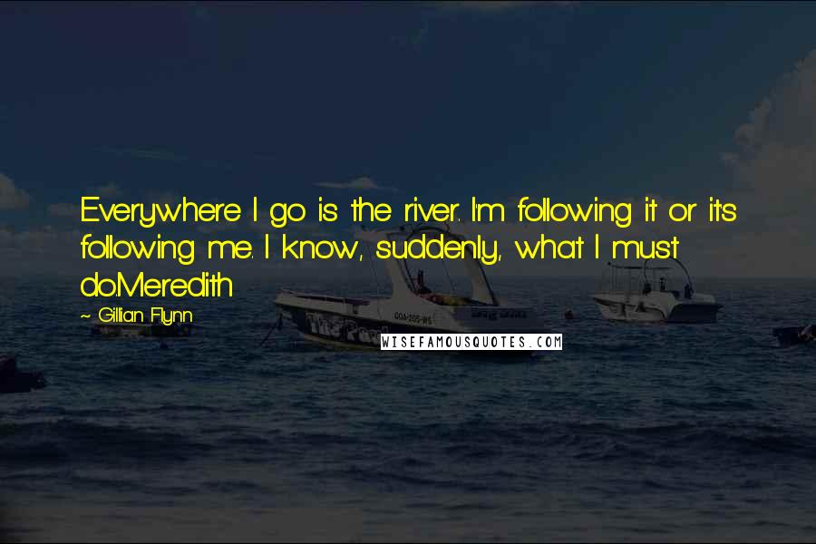 Gillian Flynn Quotes: Everywhere I go is the river. I'm following it or it's following me. I know, suddenly, what I must do.Meredith