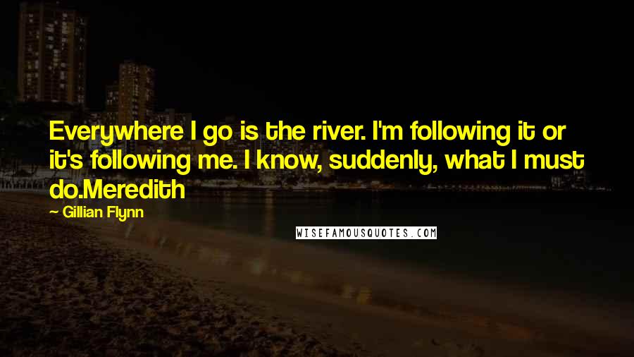 Gillian Flynn Quotes: Everywhere I go is the river. I'm following it or it's following me. I know, suddenly, what I must do.Meredith