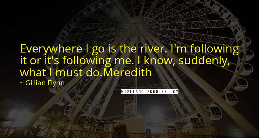 Gillian Flynn Quotes: Everywhere I go is the river. I'm following it or it's following me. I know, suddenly, what I must do.Meredith