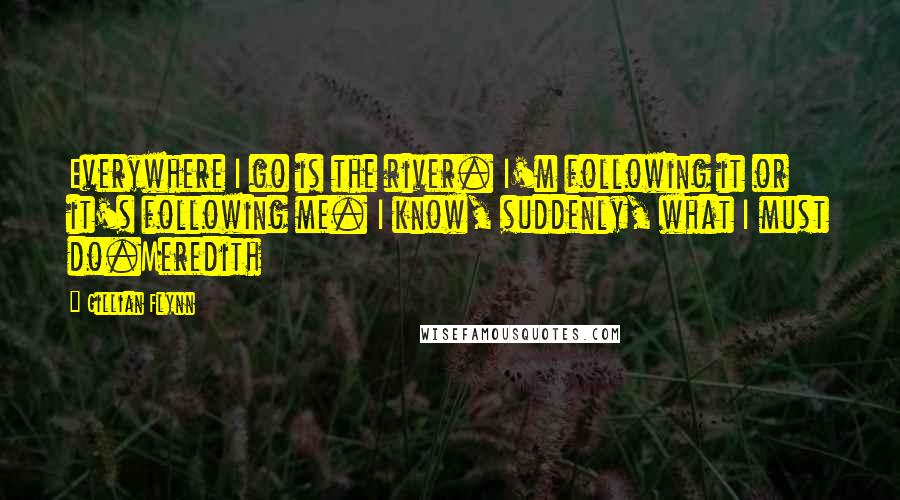 Gillian Flynn Quotes: Everywhere I go is the river. I'm following it or it's following me. I know, suddenly, what I must do.Meredith