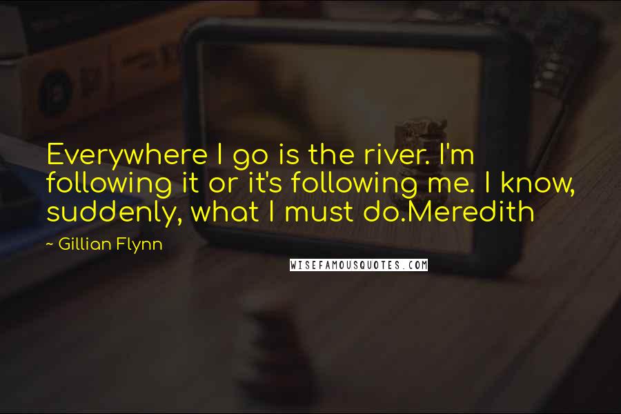 Gillian Flynn Quotes: Everywhere I go is the river. I'm following it or it's following me. I know, suddenly, what I must do.Meredith