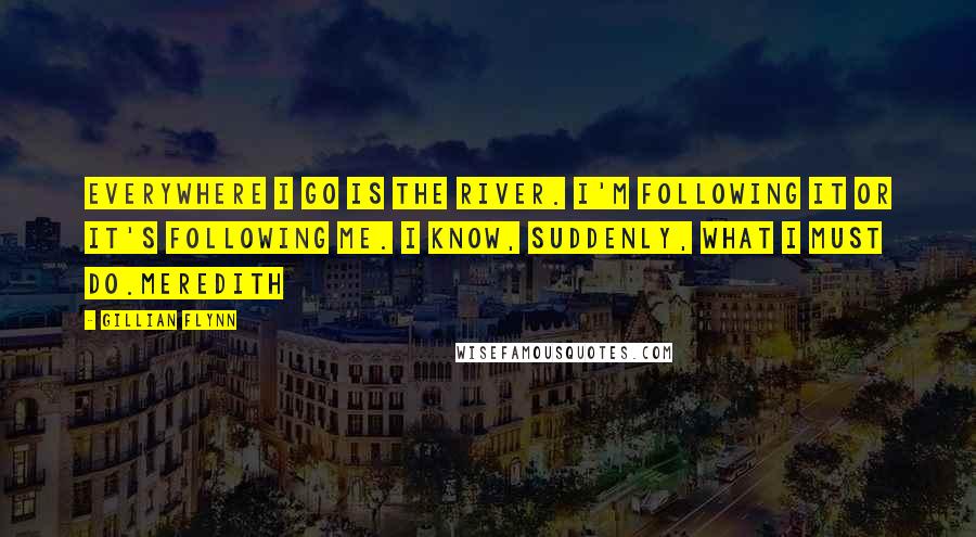 Gillian Flynn Quotes: Everywhere I go is the river. I'm following it or it's following me. I know, suddenly, what I must do.Meredith