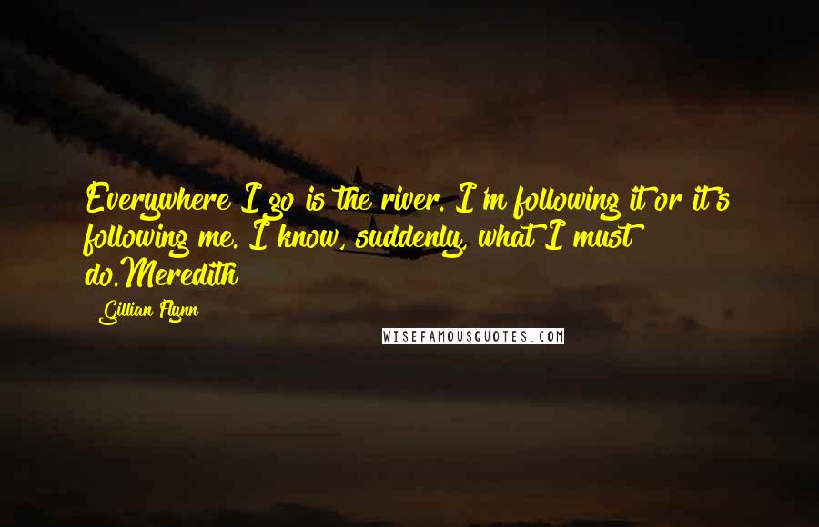 Gillian Flynn Quotes: Everywhere I go is the river. I'm following it or it's following me. I know, suddenly, what I must do.Meredith