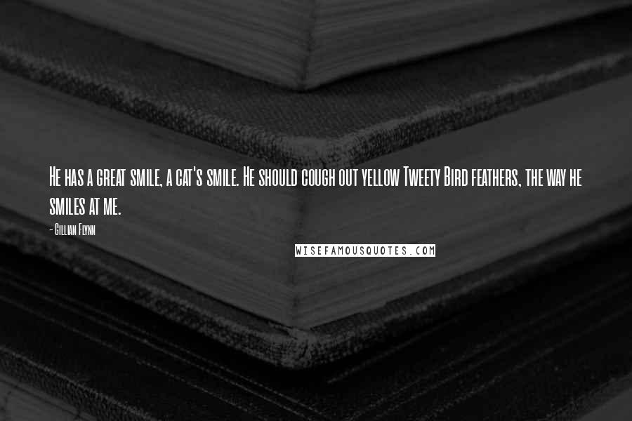 Gillian Flynn Quotes: He has a great smile, a cat's smile. He should cough out yellow Tweety Bird feathers, the way he smiles at me.