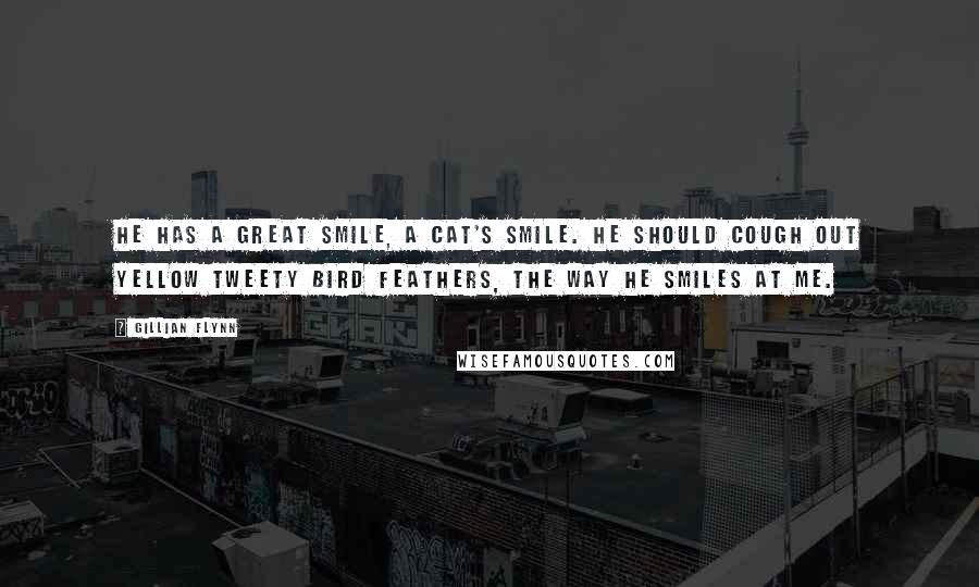 Gillian Flynn Quotes: He has a great smile, a cat's smile. He should cough out yellow Tweety Bird feathers, the way he smiles at me.