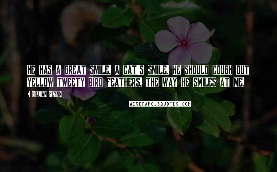 Gillian Flynn Quotes: He has a great smile, a cat's smile. He should cough out yellow Tweety Bird feathers, the way he smiles at me.