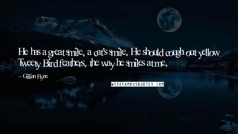 Gillian Flynn Quotes: He has a great smile, a cat's smile. He should cough out yellow Tweety Bird feathers, the way he smiles at me.