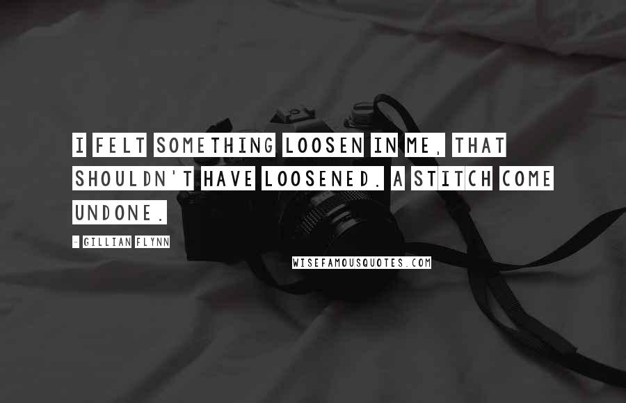 Gillian Flynn Quotes: I felt something loosen in me, that shouldn't have loosened. A stitch come undone.