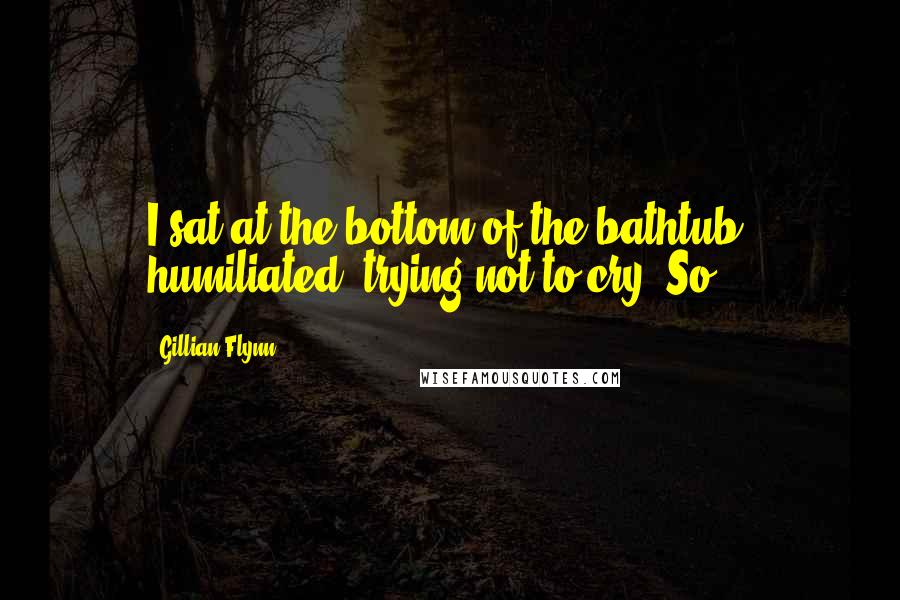Gillian Flynn Quotes: I sat at the bottom of the bathtub, humiliated, trying not to cry. So