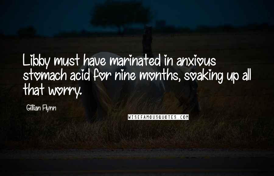 Gillian Flynn Quotes: Libby must have marinated in anxious stomach acid for nine months, soaking up all that worry.