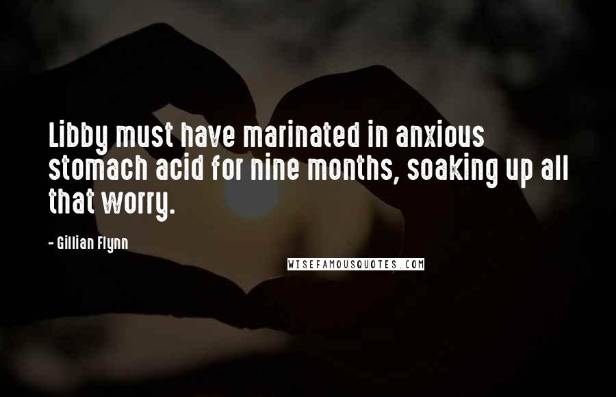 Gillian Flynn Quotes: Libby must have marinated in anxious stomach acid for nine months, soaking up all that worry.