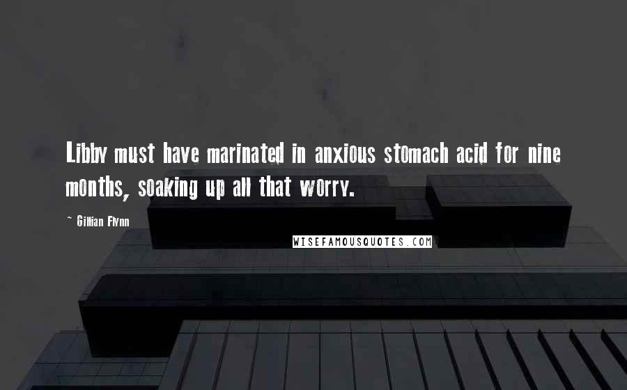 Gillian Flynn Quotes: Libby must have marinated in anxious stomach acid for nine months, soaking up all that worry.