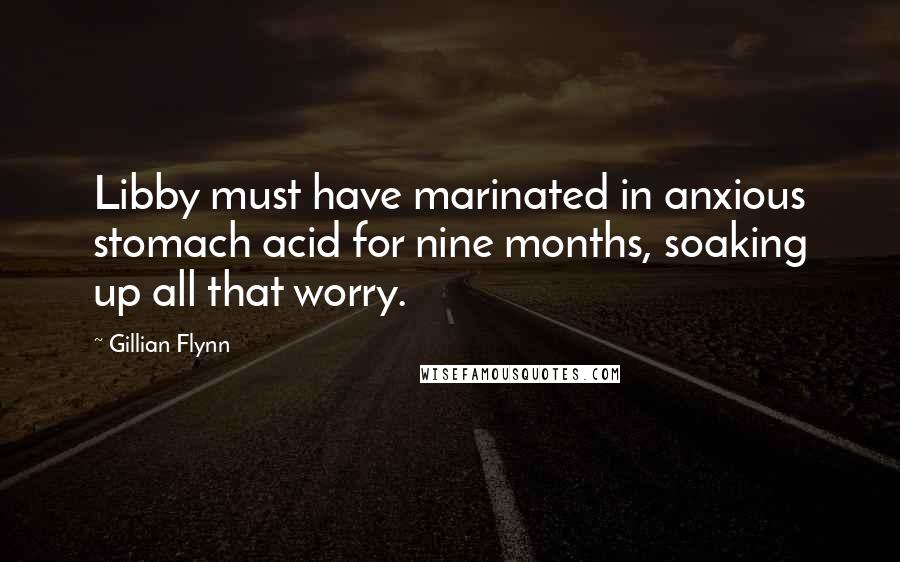 Gillian Flynn Quotes: Libby must have marinated in anxious stomach acid for nine months, soaking up all that worry.
