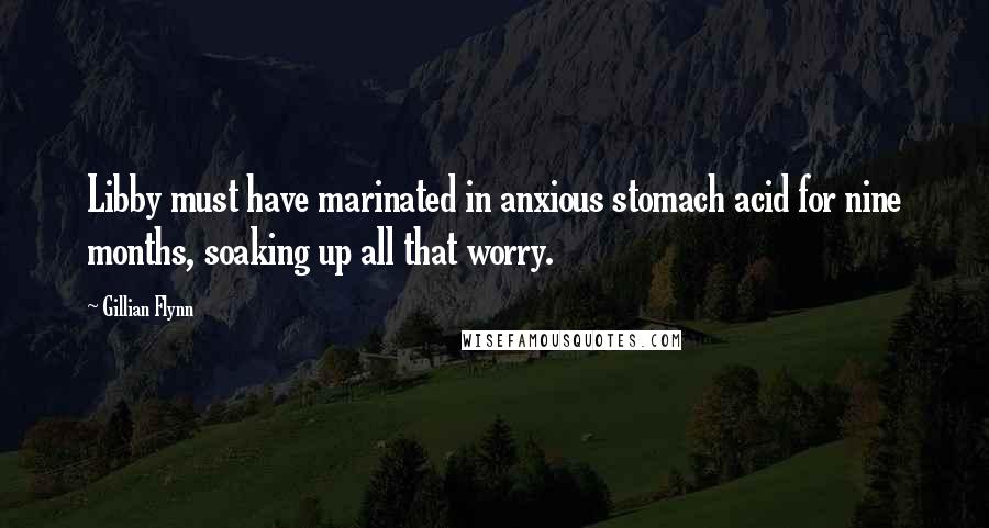 Gillian Flynn Quotes: Libby must have marinated in anxious stomach acid for nine months, soaking up all that worry.
