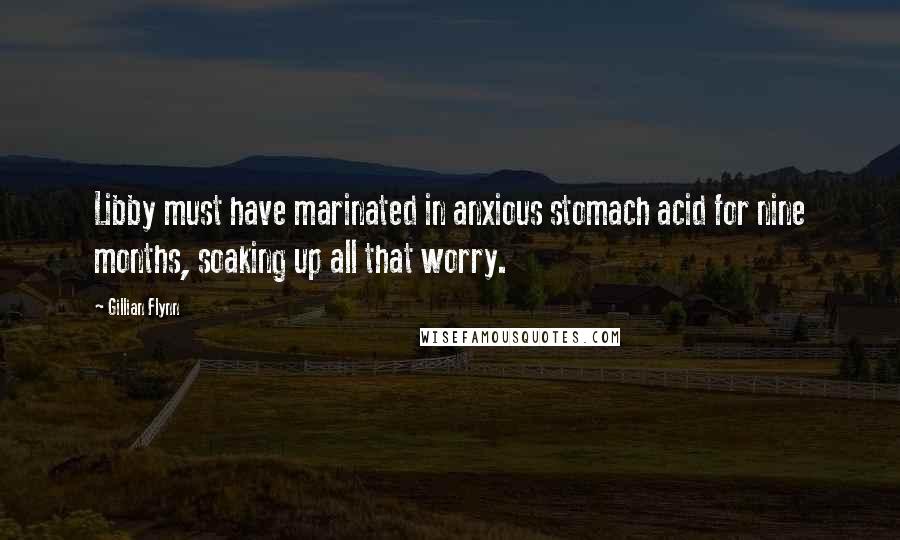 Gillian Flynn Quotes: Libby must have marinated in anxious stomach acid for nine months, soaking up all that worry.