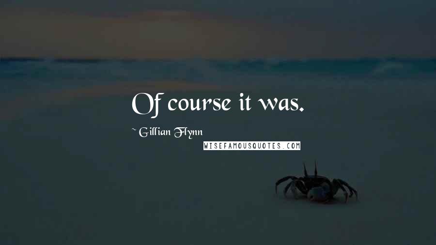 Gillian Flynn Quotes: Of course it was.