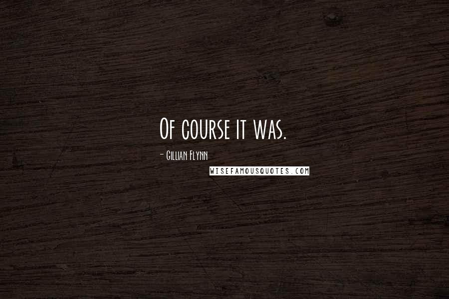 Gillian Flynn Quotes: Of course it was.