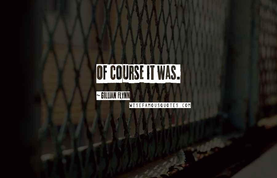 Gillian Flynn Quotes: Of course it was.