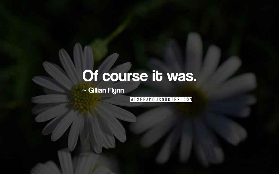 Gillian Flynn Quotes: Of course it was.