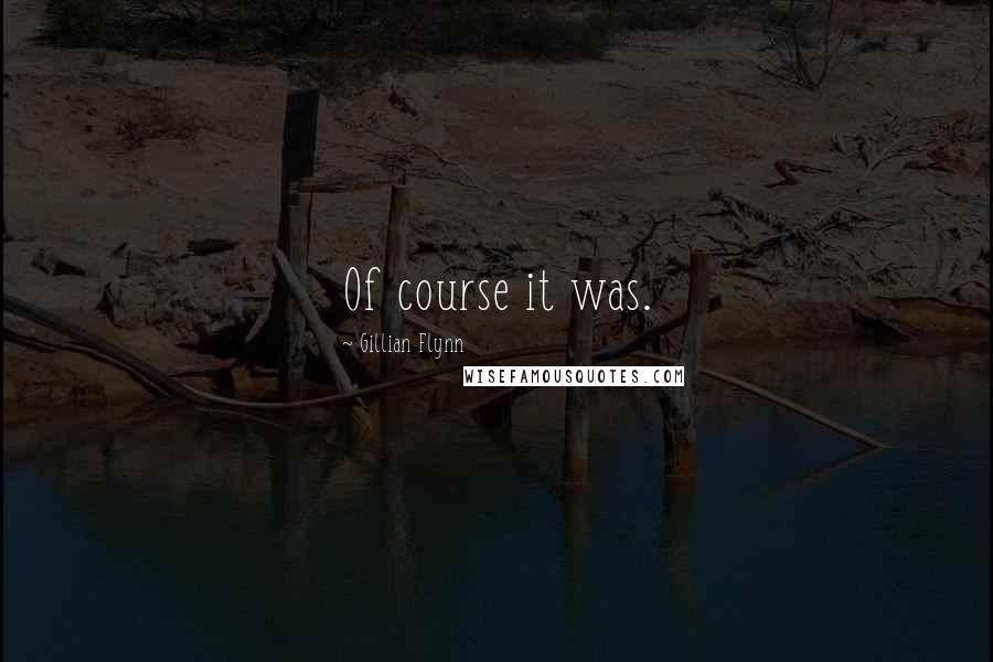 Gillian Flynn Quotes: Of course it was.