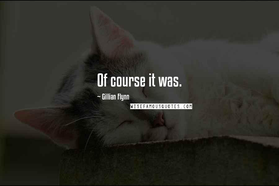 Gillian Flynn Quotes: Of course it was.