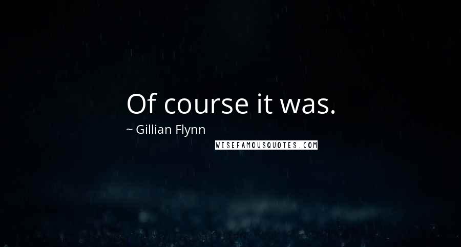 Gillian Flynn Quotes: Of course it was.