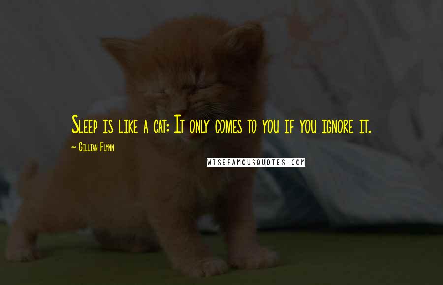 Gillian Flynn Quotes: Sleep is like a cat: It only comes to you if you ignore it.