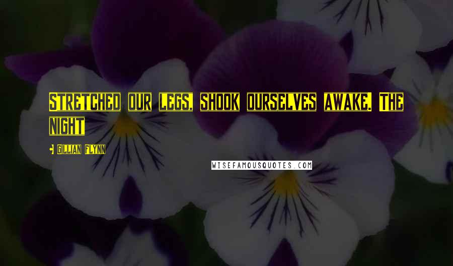 Gillian Flynn Quotes: Stretched our legs, shook ourselves awake. The night