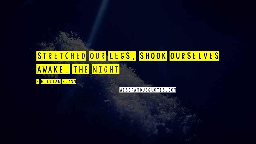 Gillian Flynn Quotes: Stretched our legs, shook ourselves awake. The night