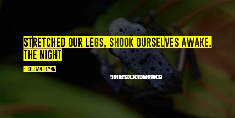 Gillian Flynn Quotes: Stretched our legs, shook ourselves awake. The night