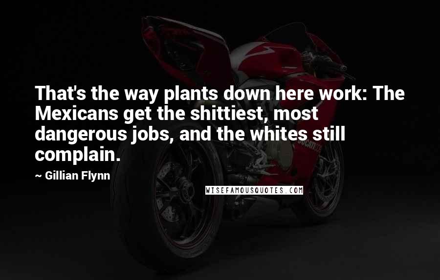 Gillian Flynn Quotes: That's the way plants down here work: The Mexicans get the shittiest, most dangerous jobs, and the whites still complain.