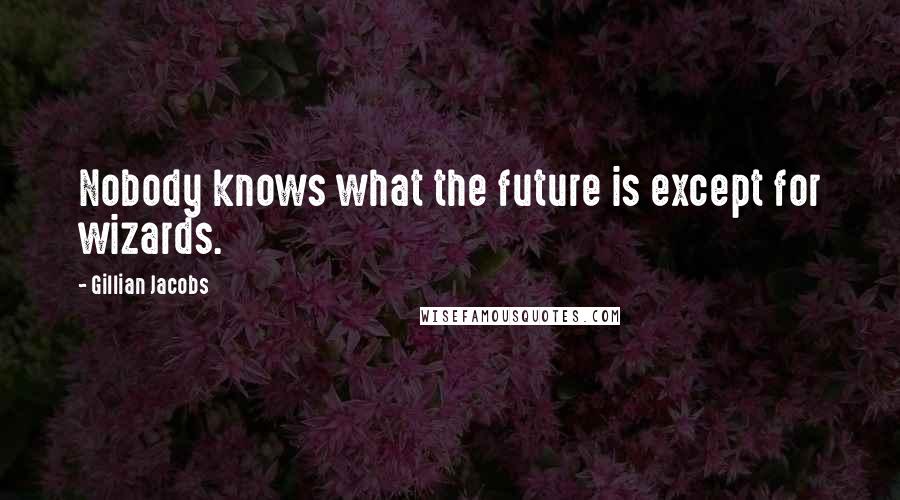 Gillian Jacobs Quotes: Nobody knows what the future is except for wizards.