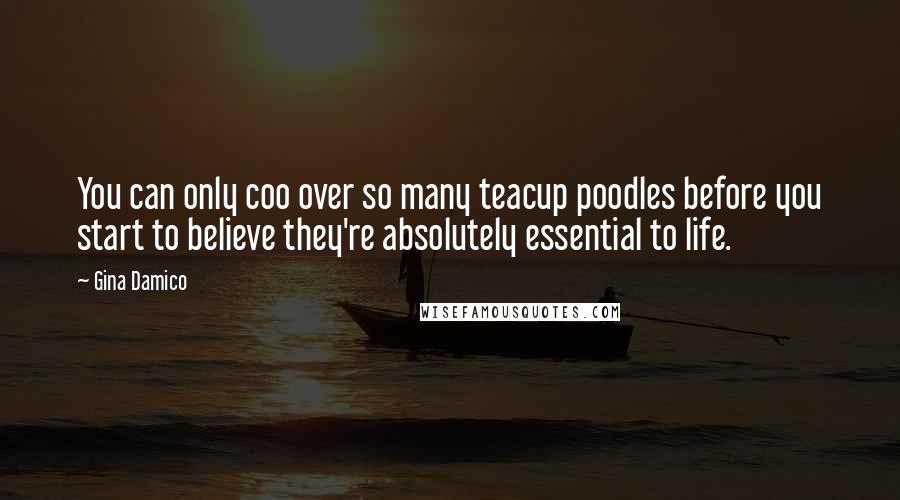 Gina Damico Quotes: You can only coo over so many teacup poodles before you start to believe they're absolutely essential to life.