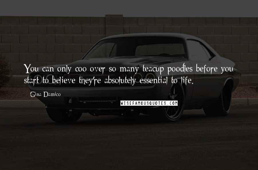 Gina Damico Quotes: You can only coo over so many teacup poodles before you start to believe they're absolutely essential to life.